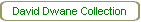 David Dwane Collection